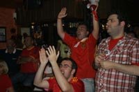 Campeones de la Eurocopa 2008 · Fotografía 14