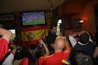 Campeones de la Eurocopa 2008 · Fotografía 7